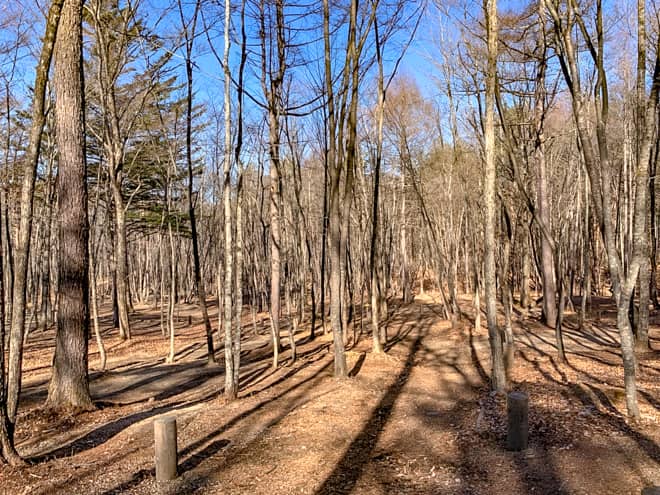 サイトの地面は土で、傾斜はそこそこある印象です