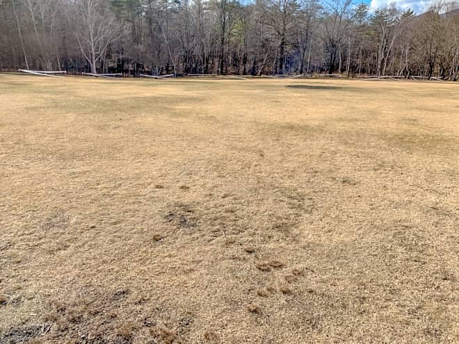 サイトの地面は芝で、傾斜は結構あります