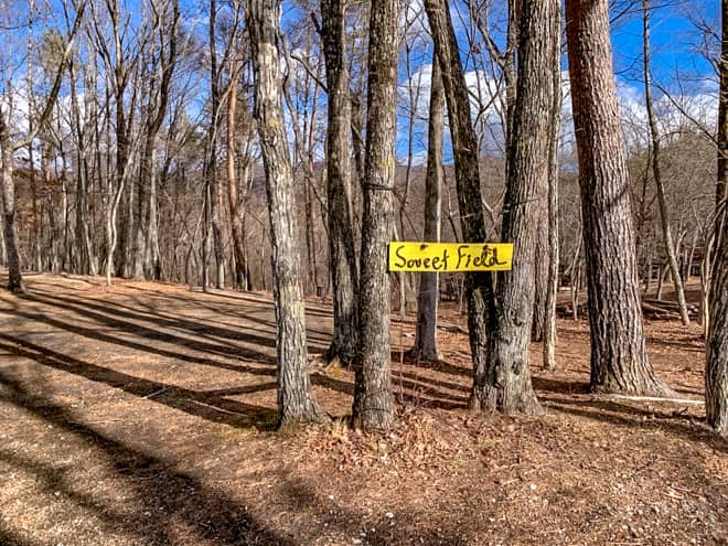 スウィートフィールド