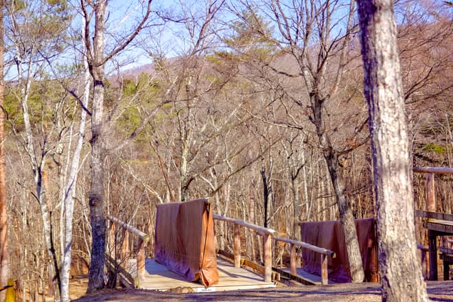 テントの設営が不要なところがメリットではありますが