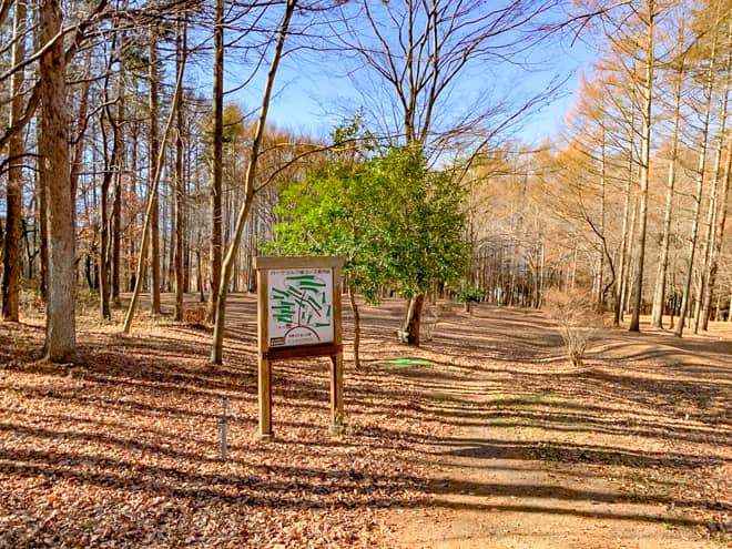 ファミリーに大人気のアクティビティが充実