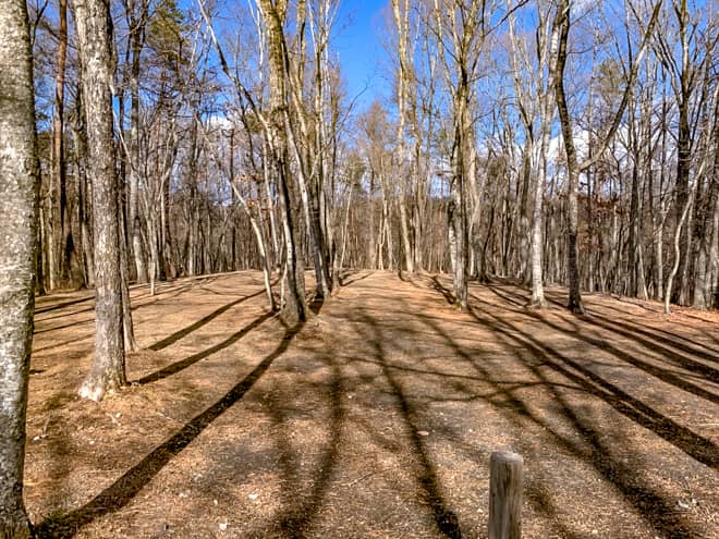 プライベート感はそこそこ確保されてます