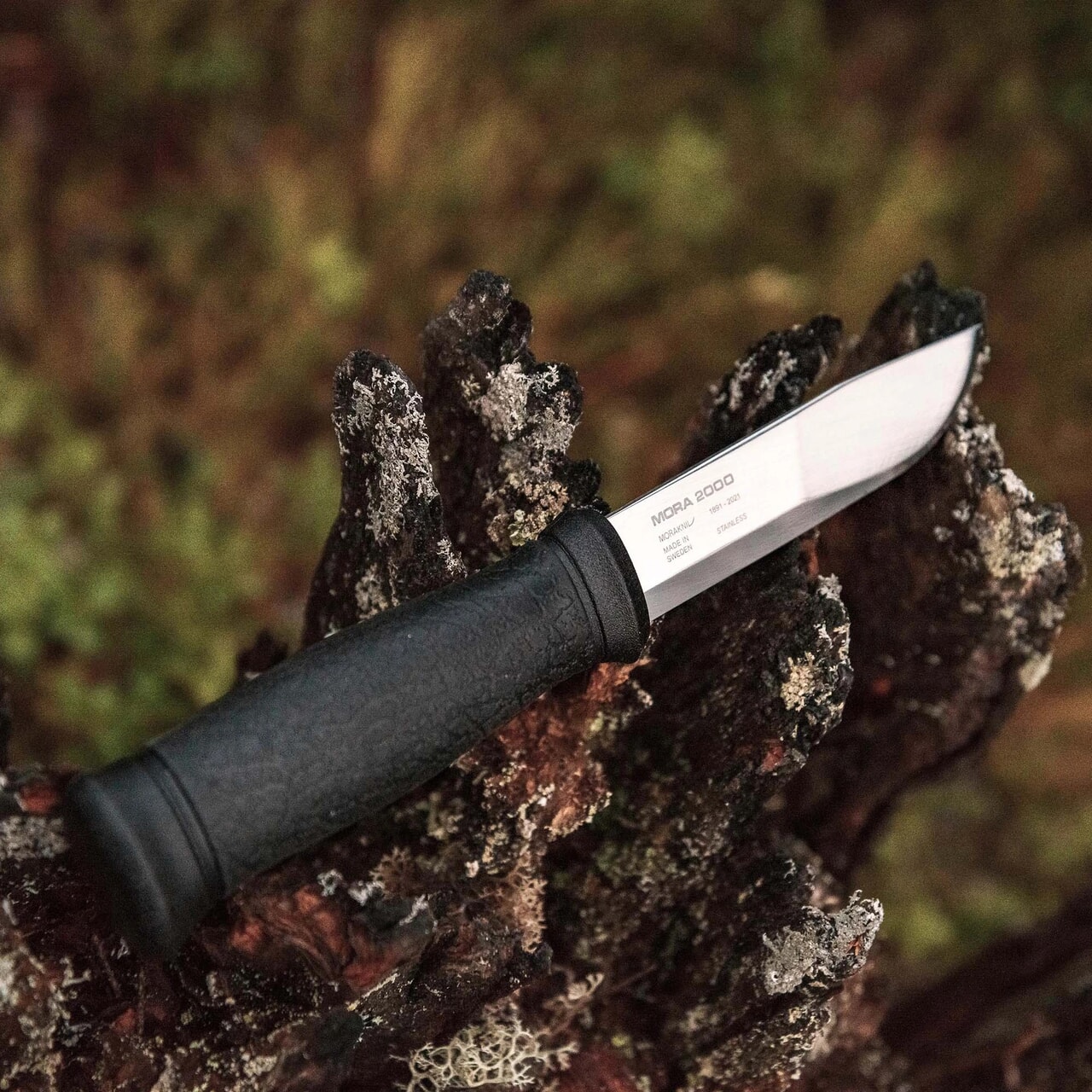 130年の歴史を誇るスウェーデンのナイフブランド 正規品 Morakniv アウトドアナイフ キャンプ コンパニオン ステンレス スパーク ファイヤースターター モーラナイフ 着火 【SALE/74%OFF】 アウトドアナイフ 130年の歴史を誇るスウェーデンのナイフブランド 正規品 Morakniv アウトドアナイフ キャンプ コンパニオン ステンレス スパーク ファイヤースターター モーラナイフ 着火 【SALE/74%OFF】 アウトドアナイフ