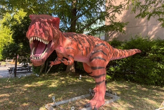 丹後王国ブルワリー_3