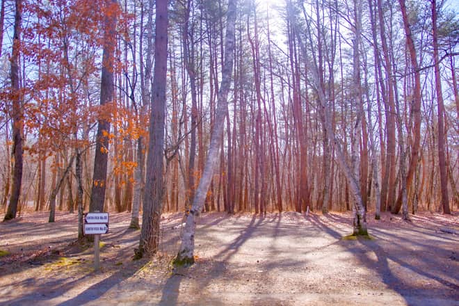 区画の広さは10ｘ10mと