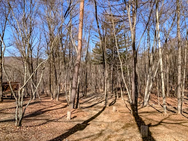 区画の広さは5ｘ5mと