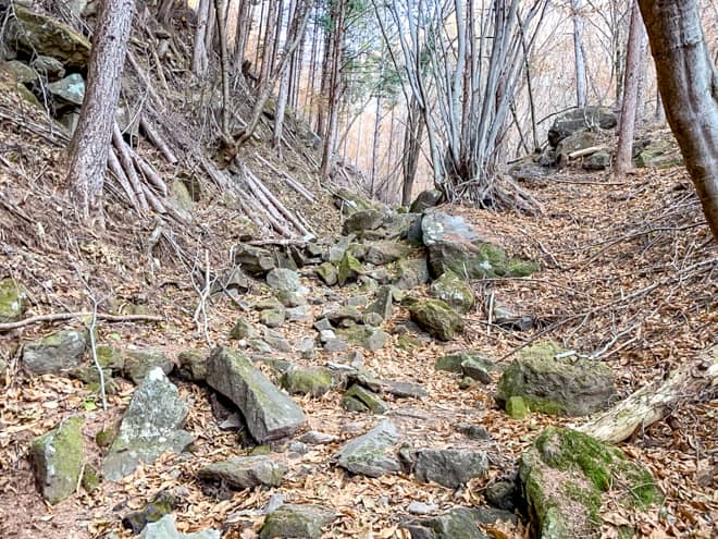少しづつですが登りが気持ちきつくなり