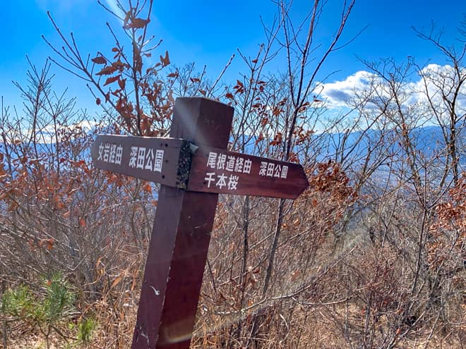 山頂手前には「尾根ルート」の分岐があります