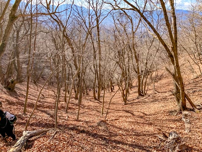 後ろを振り返ると