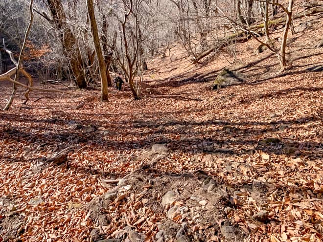 後半は大変開けたコースが広がります