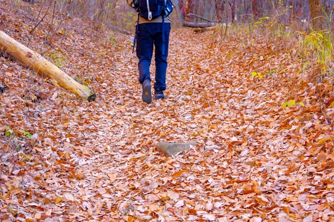 晩秋の登山コースは落ち葉にご注意