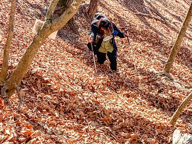 晩秋の登山道は落ち葉トラップが凄い