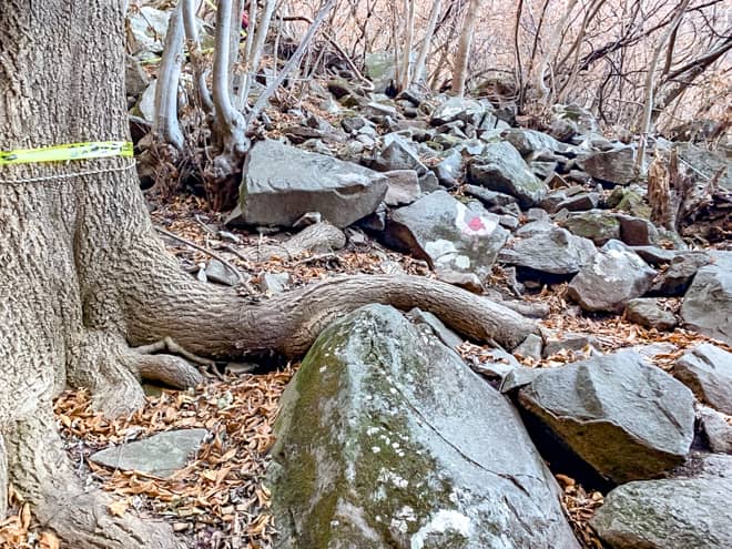 最初に立ちはだかる壁は岩の壁です