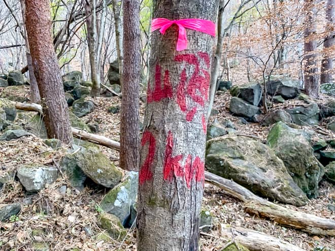 標識は看板ではなく