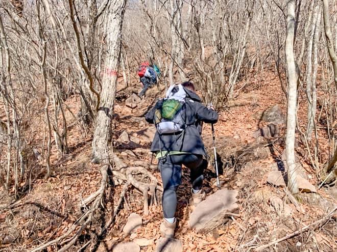 残すは茅ヶ岳山頂のみです