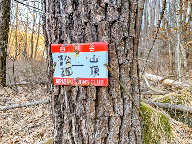 登山道は整備されているうえに