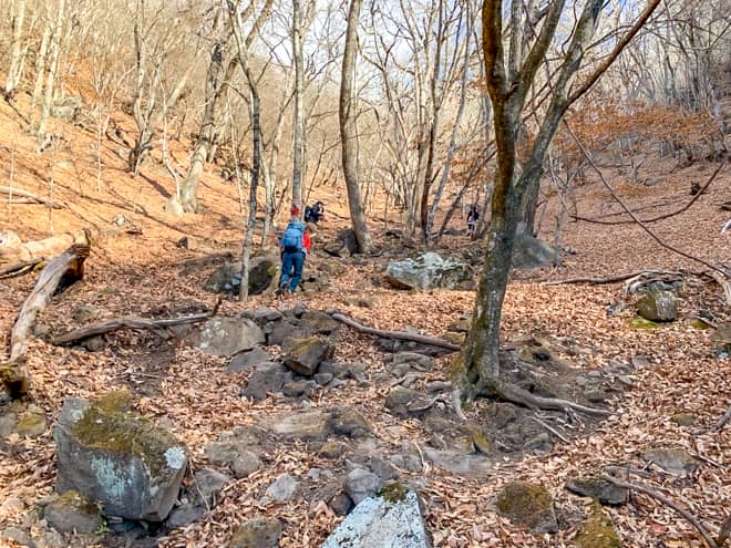 茅ヶ岳に登ってみてわかったこと