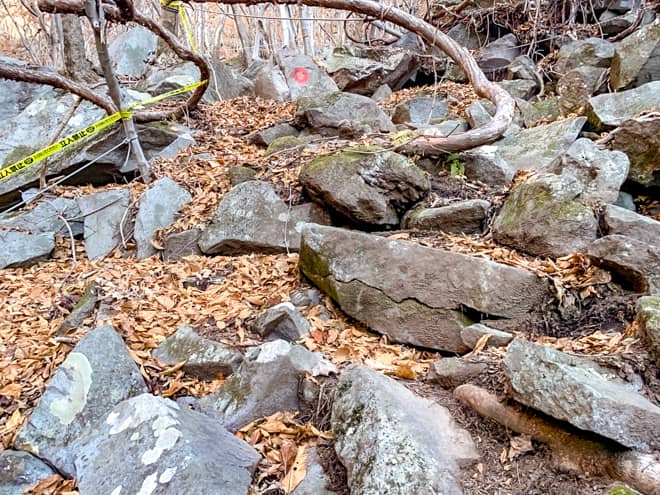 落ち葉が積もっているので足場をしっかりと確認しながら岩登りをします