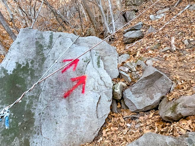 落ち葉が積もっている晩秋は