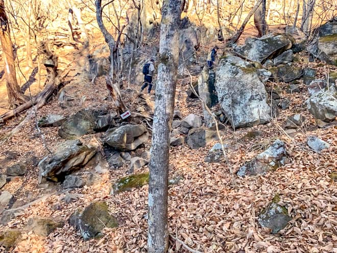 落ち葉で登山道が判らなくなっているので