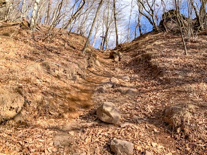 長い落ち葉トラップを抜けると