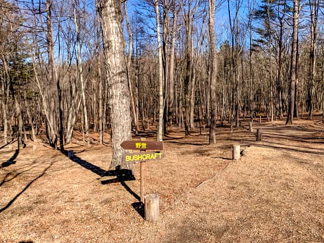 離れにある森にあるフィールドなのでプライベート感は確保