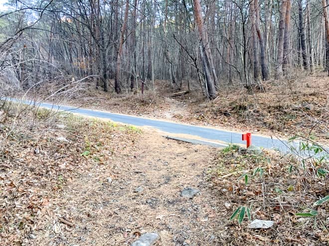 700メートル程歩き進むと道路に出ます