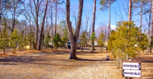 予約困難の高規格キャンプ場「ライジングフィールド軽井沢」オフシーズンは穴場でお得！
