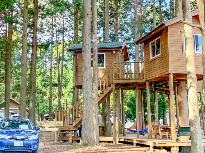 「細野高原第2駐車場」傍には