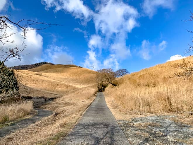 ここからは景色が開けてくるので
