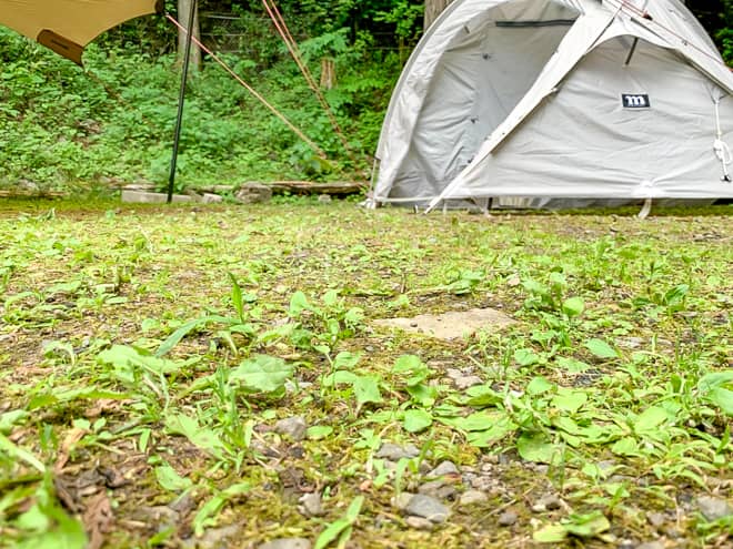 スカートが無いので風が容赦なく入ってくる