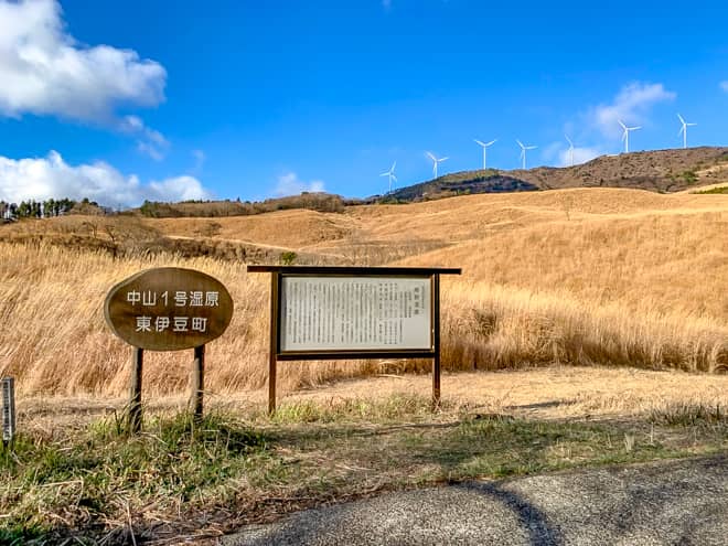 チェックアウト1の見どころは