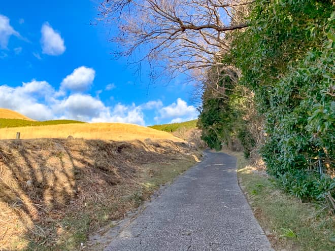 チェックポイント2～3