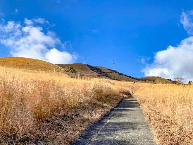 チェックポイント4の道は本当に美しく