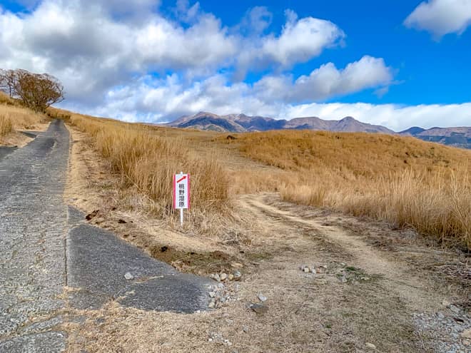 ハイキングコースからは外れてしまいますが