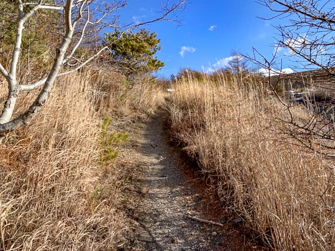 丘が見えてきました