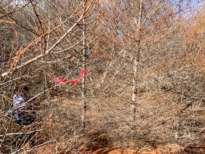 先ほど以上に整備されていない荒れた道なので