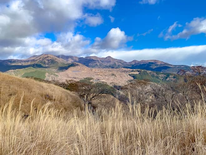 山道からは天城山をはじめとした