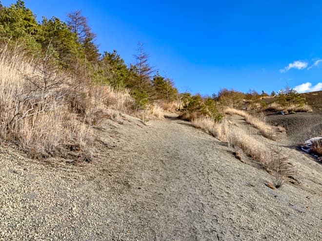 山頂手前の小ピークに差し掛かると傾斜が緩やかになり