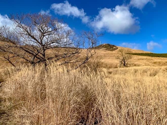 後ろを振り返ってみると