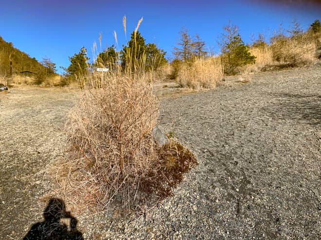 樹林帯を抜けると