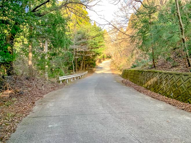登山道はほぼアスファルトで整備されているので