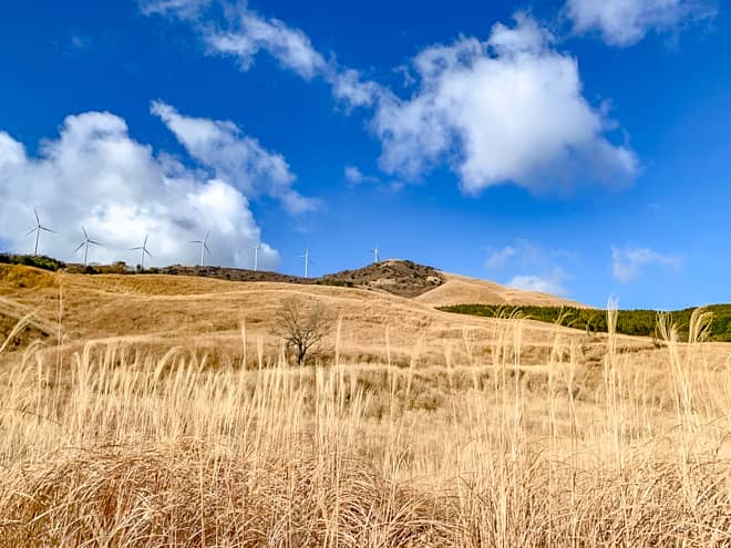 真冬でもスニーカーで登れる絶景の山「三筋山」