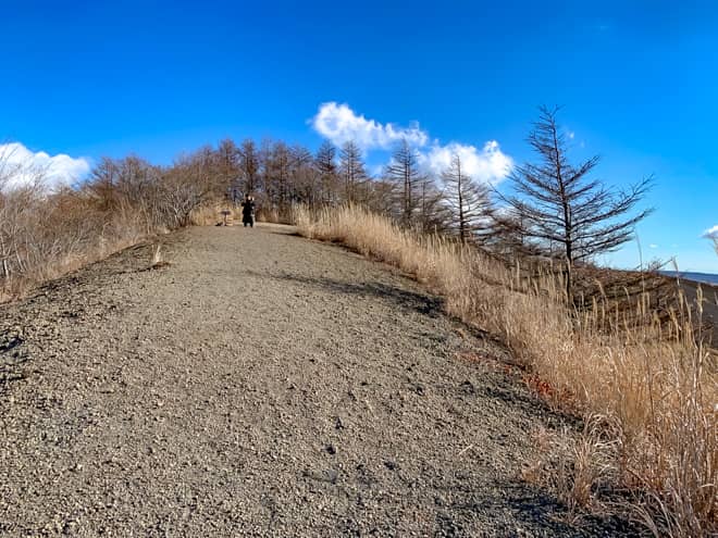 背後には木々が立ちはだかります