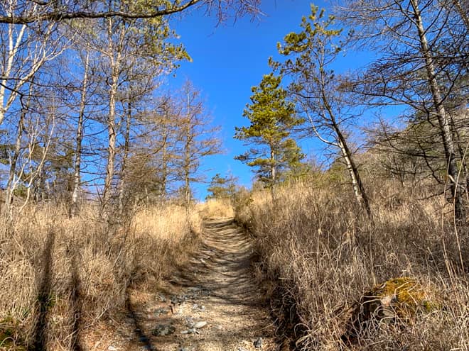 見た目から全く険しさもなく