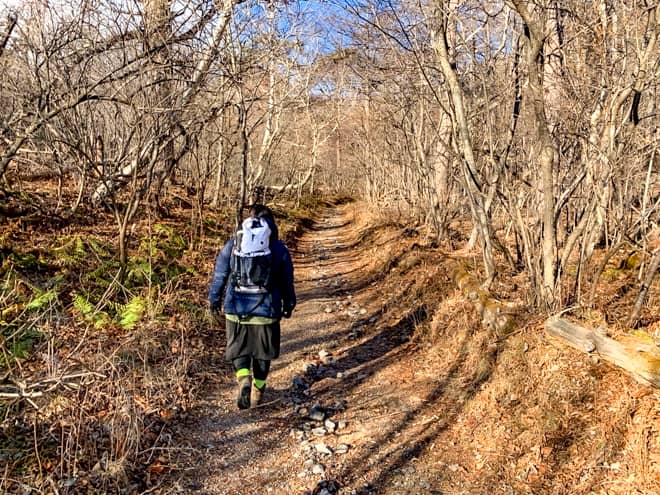 観光がてらに登ることが出来る難易度の低さ