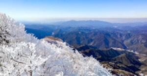 関西のマッターホルン！雪山入門にもおすすめの「高見山」で霧氷を満喫！