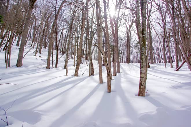 しかし冬季ともなると超人気スポットに生まれ変わります