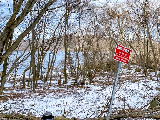 つづら折りの登山道を下りていくと道路に出ます