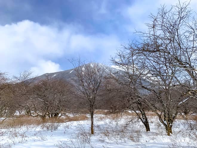 ゆとりがあれば戦場ヶ原トレッキングも